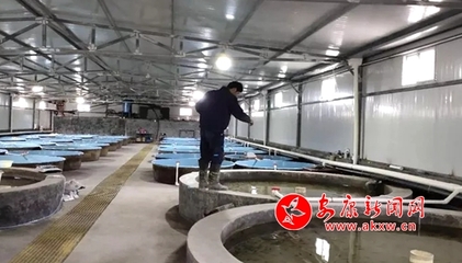 嵐皋縣各漁業(yè)企業(yè)有序開(kāi)展復(fù)工復(fù)產(chǎn)工作，保障畜牧漁業(yè)飼料供應(yīng)
