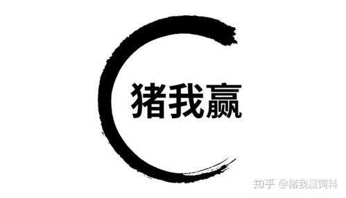 豬我贏飼料模式 高效養殖，助力畜牧業高質量發展