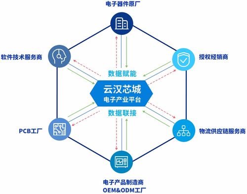 云漢芯城 驅(qū)動上海互聯(lián)網(wǎng)數(shù)據(jù)服務(wù)創(chuàng)新，賦能電子產(chǎn)業(yè)數(shù)字化轉(zhuǎn)型